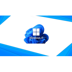 DDM | Windows 11 Pro Activation