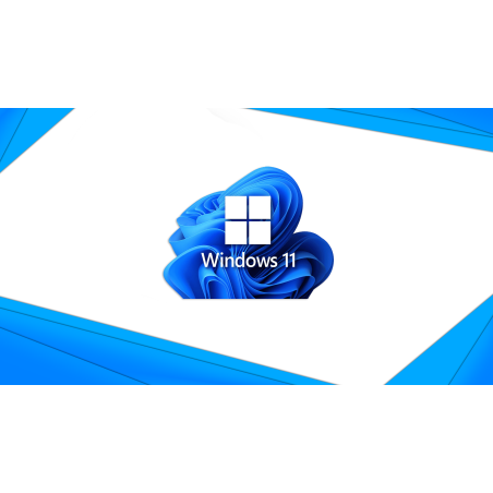 DDM | Windows 11 Pro Activation